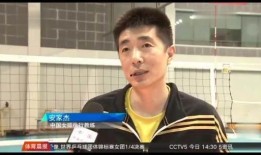 郎平教练爆料视频大全,独家爆料视频大全背后的故事与感悟